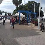 La Casa De Palmeras