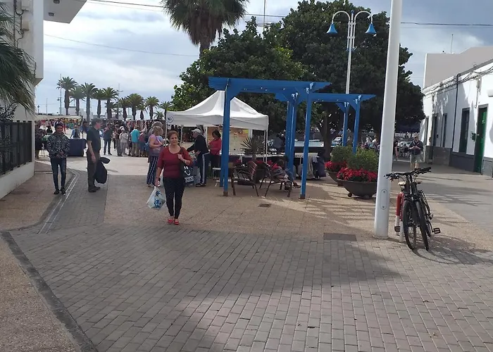 La Casa De Palmeras